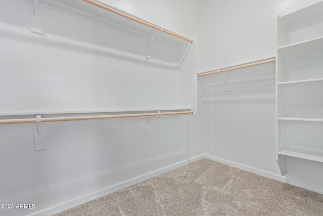 spacious closet featuring carpet floors