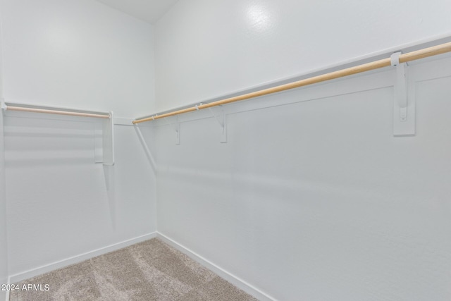 spacious closet with carpet