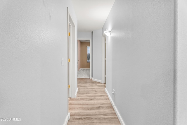 hall featuring light hardwood / wood-style floors