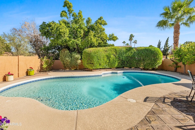 view of swimming pool with a patio area