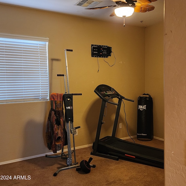 exercise area featuring carpet flooring and ceiling fan