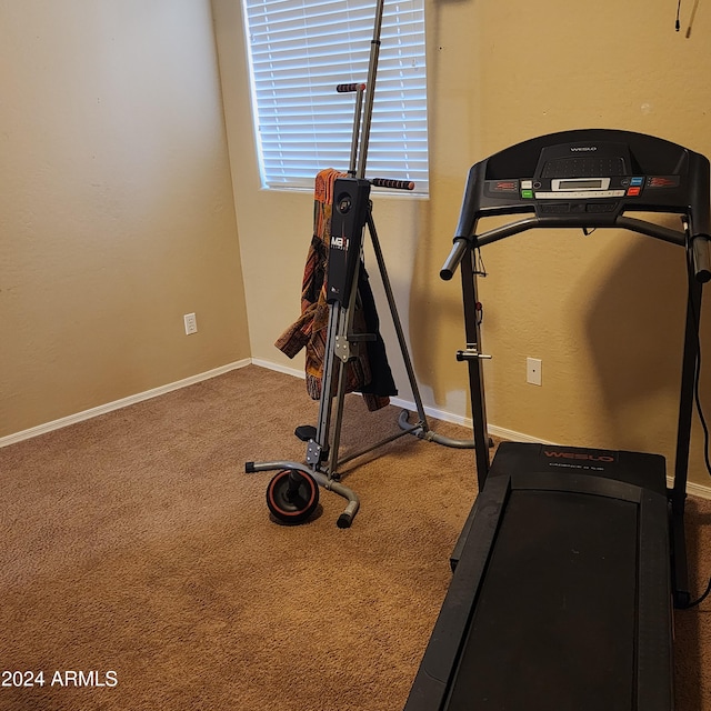 workout area featuring carpet flooring