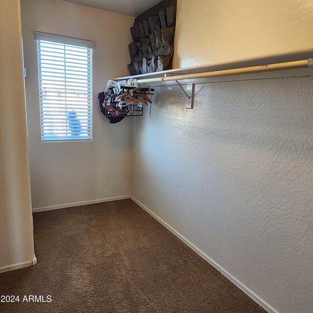 spacious closet with dark carpet