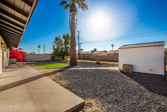 view of yard with a patio and a storage shed