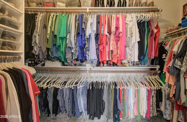 12041 S 45th St, Phoenix, AZ 85044 - view of walk in closet
