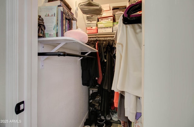 12041 S 45th St, Phoenix, AZ 85044 - view of walk in closet