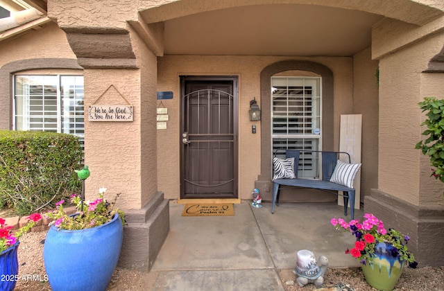 12041 S 45th St, Phoenix, AZ 85044 - entrance to property featuring stucco siding