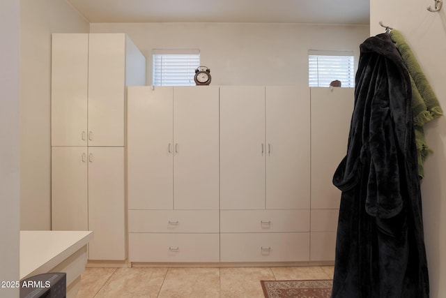 bathroom featuring a wealth of natural light and tile patterned flooring