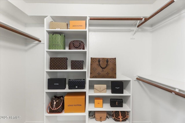 2923 N 63rd St, Mesa, AZ 85215 - view of walk in closet