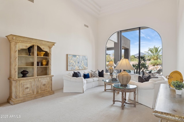 living room featuring a high ceiling and carpet