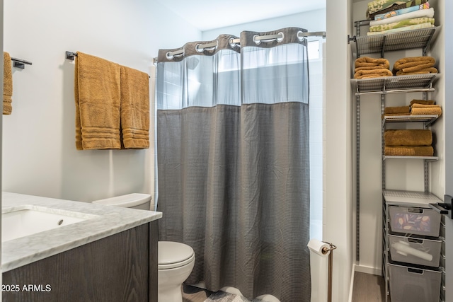 full bathroom featuring toilet, a shower with curtain, and vanity