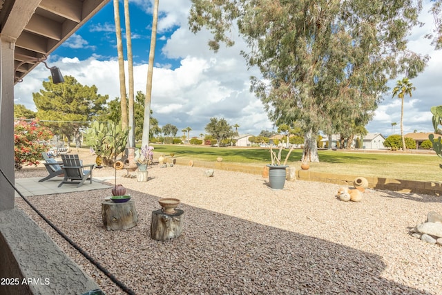 view of yard featuring a patio area