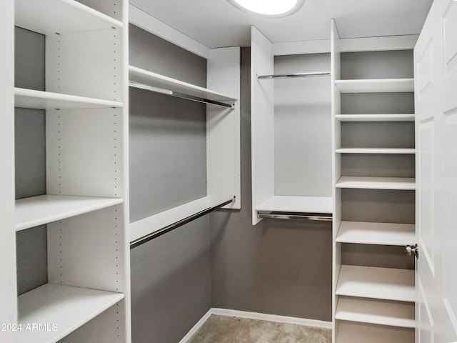 view of spacious closet