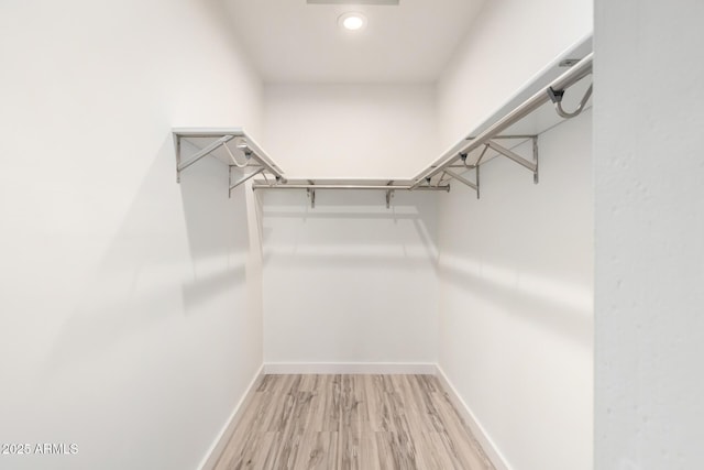 spacious closet featuring light wood-style flooring