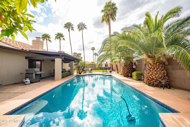 view of pool featuring a fenced in pool, a patio, a fenced backyard, and a grill