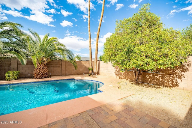 view of pool with a patio, a fenced in pool, and a fenced backyard