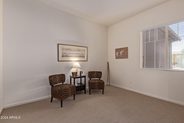 living area featuring light colored carpet