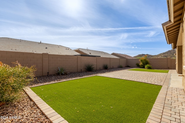 view of yard featuring a patio area