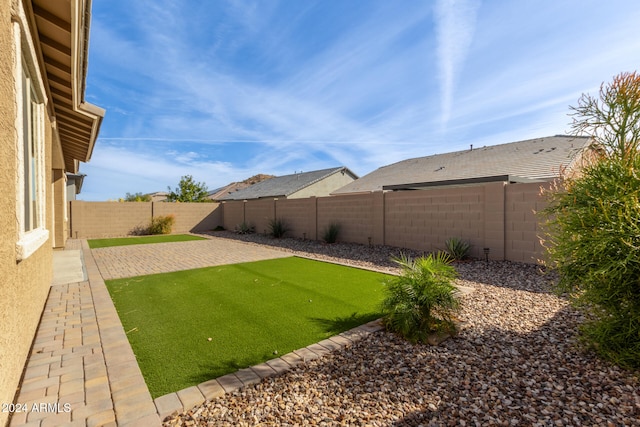 view of yard featuring a patio