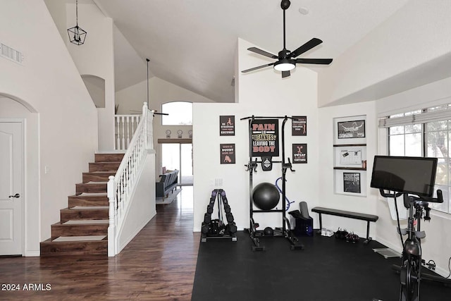 workout area featuring ceiling fan, dark hardwood / wood-style flooring, and high vaulted ceiling