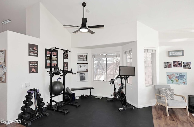 workout room featuring ceiling fan and wood-type flooring