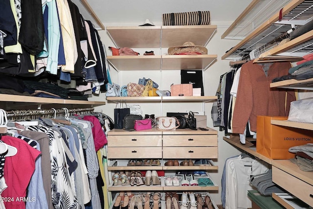 view of spacious closet