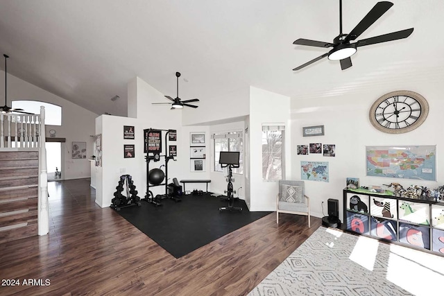 workout area featuring ceiling fan, dark hardwood / wood-style flooring, and high vaulted ceiling