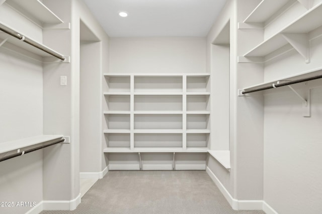 walk in closet with carpet floors