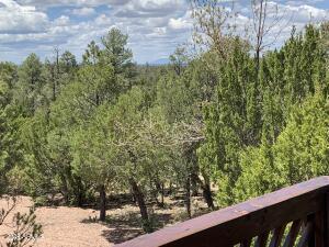 view of local wilderness featuring a wooded view