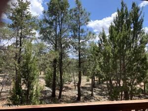 view of local wilderness