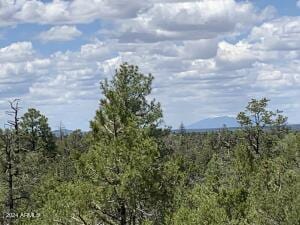 view of local wilderness