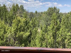 view of local wilderness featuring a wooded view