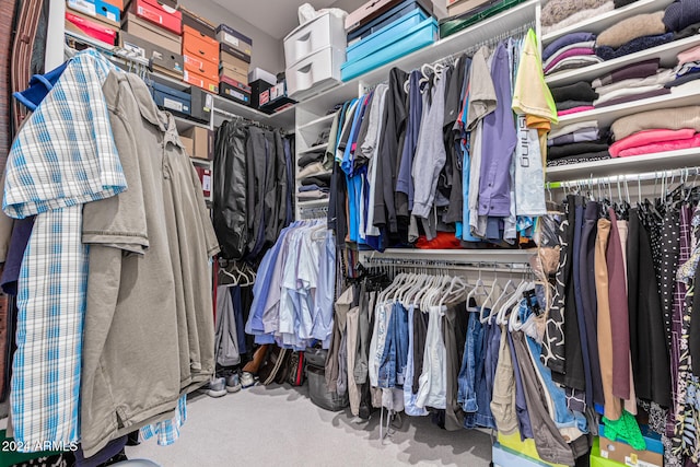 spacious closet featuring carpet flooring