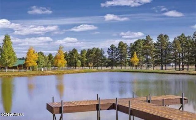 dock area with a water view