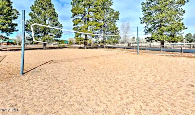 view of property's community with volleyball court