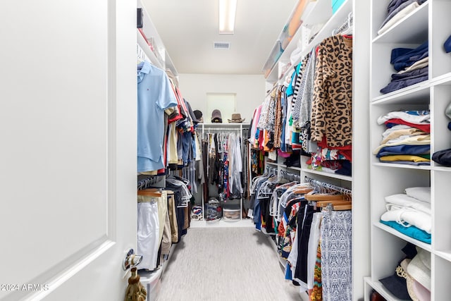 walk in closet featuring carpet