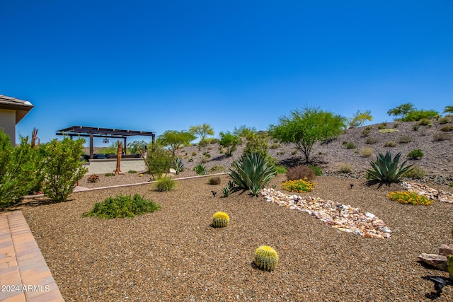 view of yard featuring a pergola