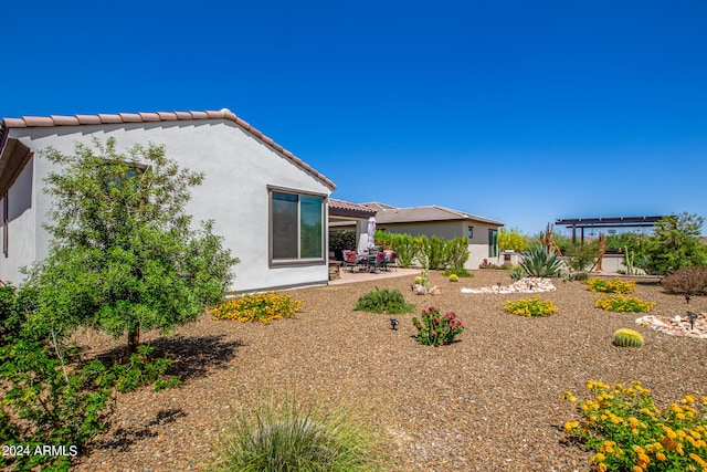 view of yard featuring a patio area