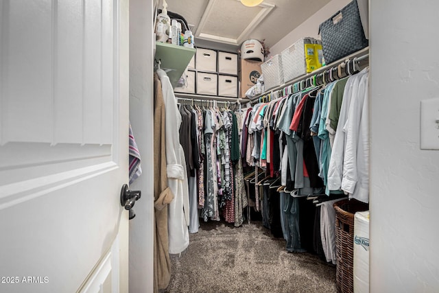 spacious closet with carpet floors