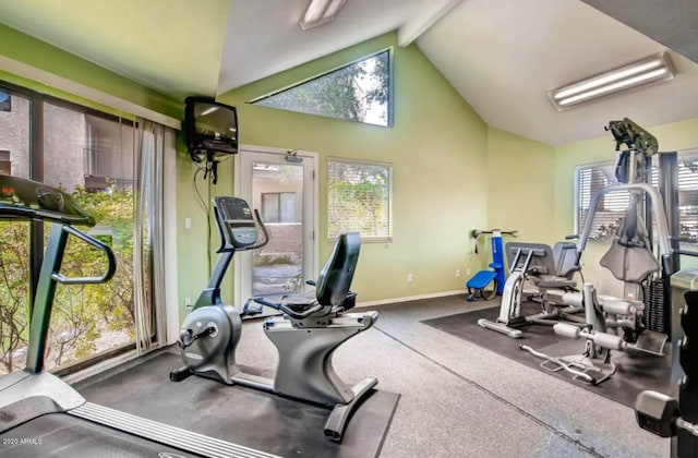 exercise room featuring lofted ceiling
