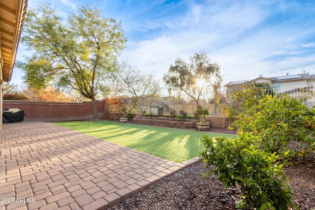 view of yard featuring a patio