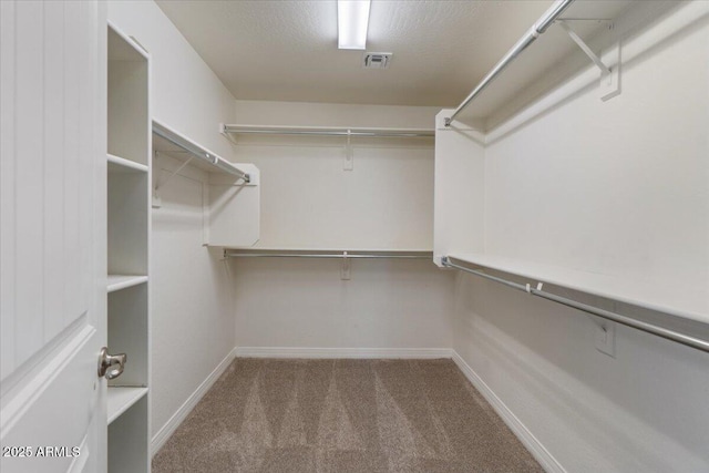 2868 E Binner Dr, Chandler, AZ 85225 - walk in closet with carpet floors
