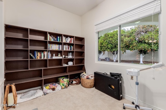 interior space with carpet flooring