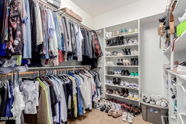 walk in closet featuring carpet