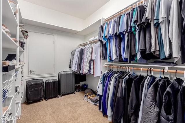 spacious closet featuring carpet flooring