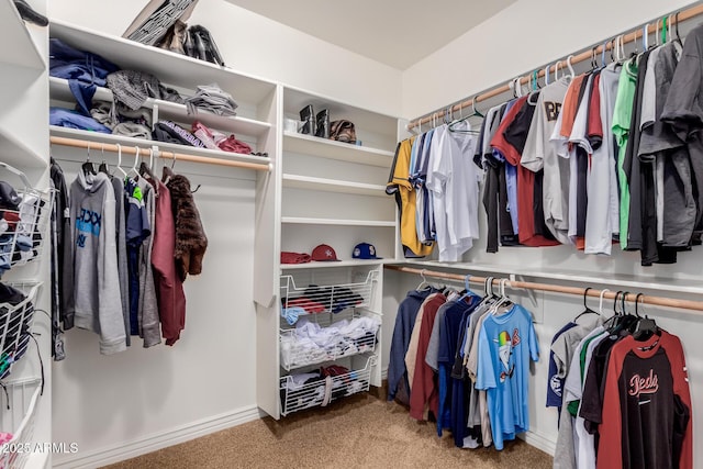 walk in closet with carpet