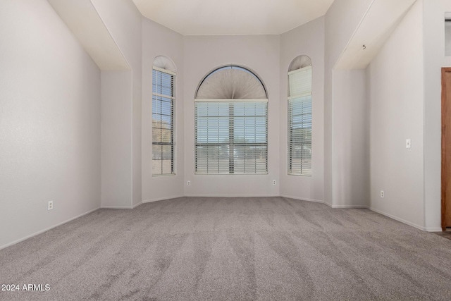 carpeted spare room with a towering ceiling