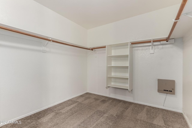 walk in closet featuring carpet flooring