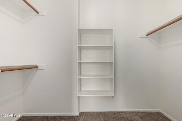 walk in closet with carpet floors