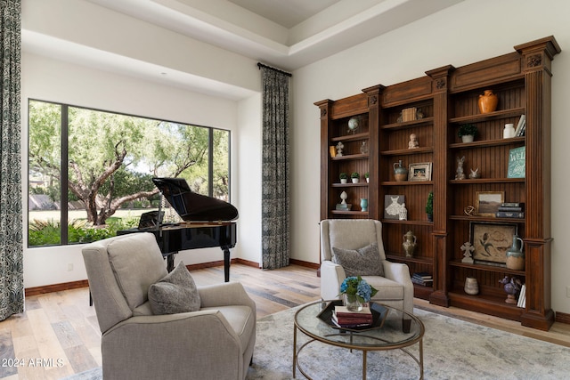 living area with light wood-type flooring and a raised ceiling